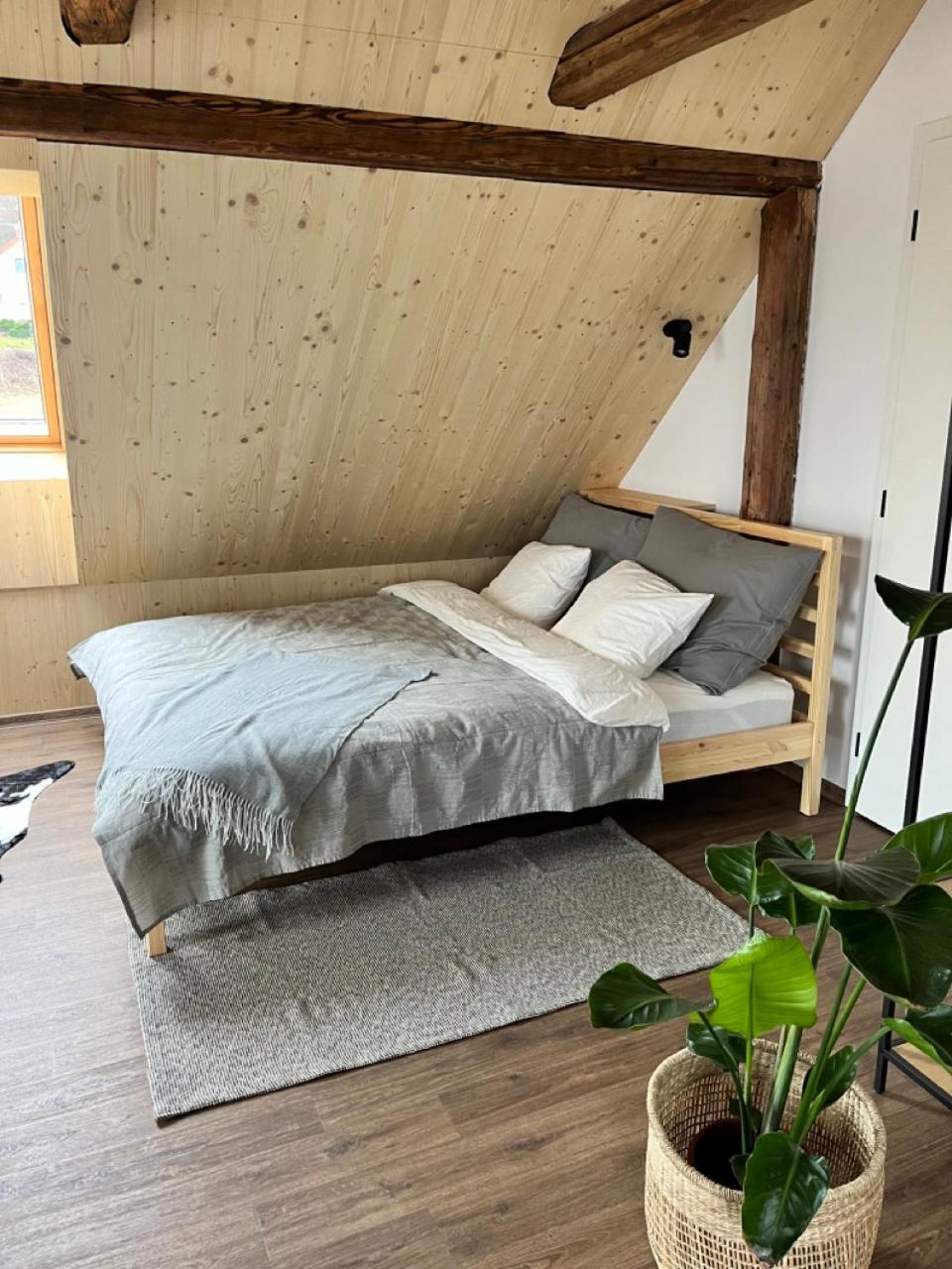 Sanky Apartmany 리베레츠 외부 사진