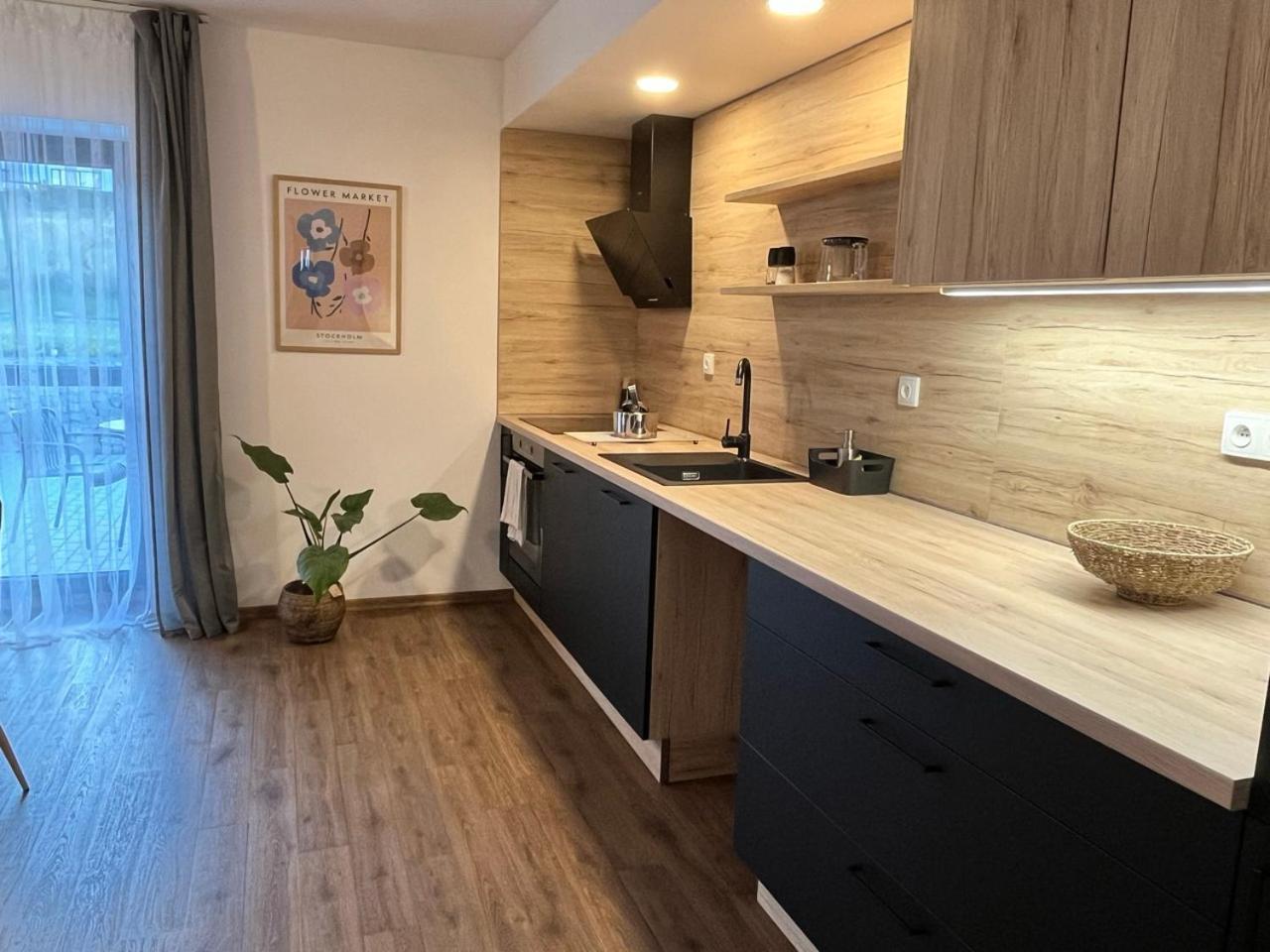 Sanky Apartmany 리베레츠 외부 사진